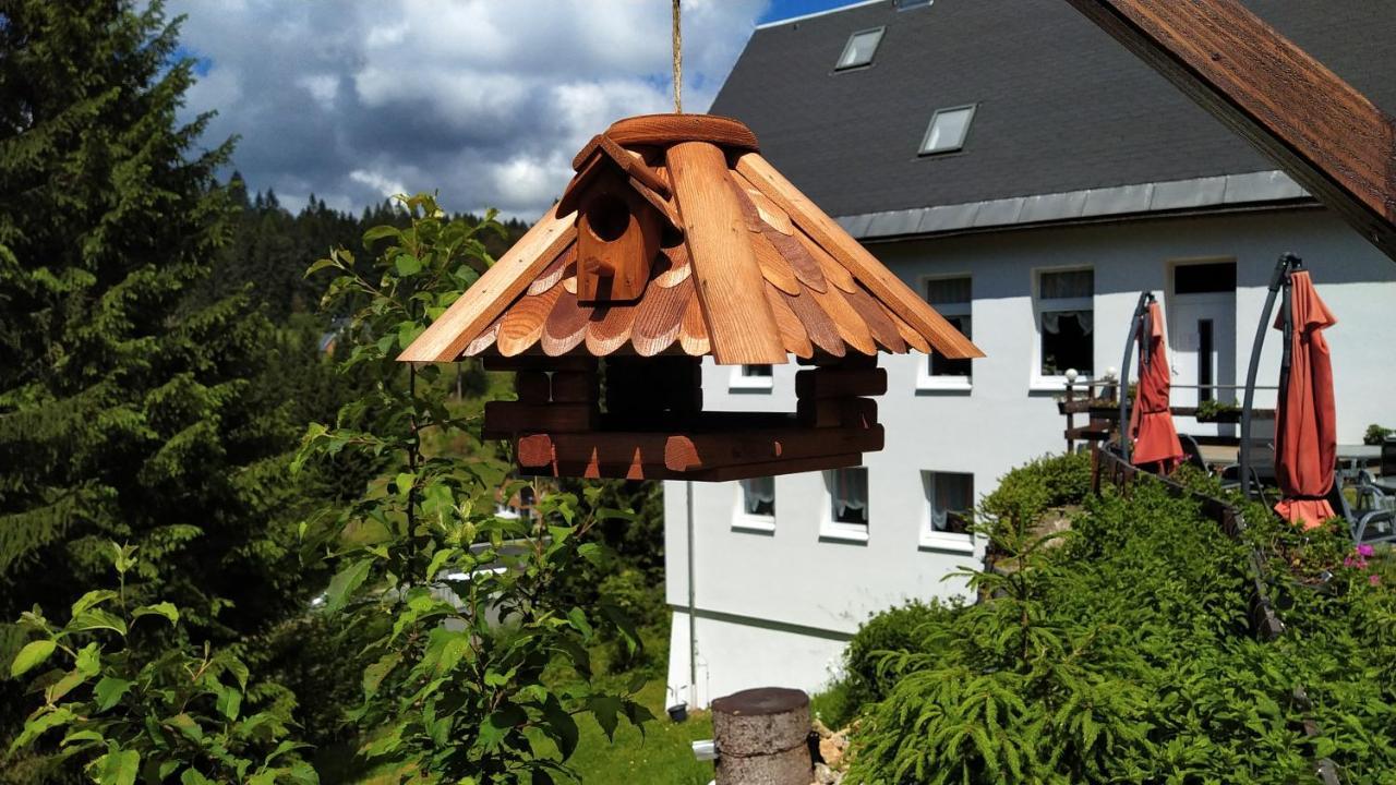 Greizer Kammhuette Gaststaette & Pension Клингенталь Экстерьер фото