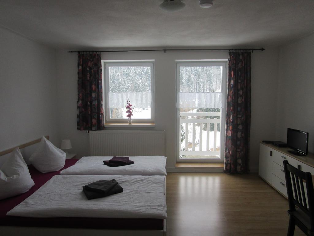 Greizer Kammhuette Gaststaette & Pension Клингенталь Экстерьер фото