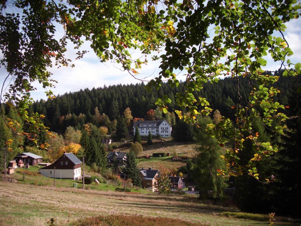 Greizer Kammhuette Gaststaette & Pension Клингенталь Экстерьер фото