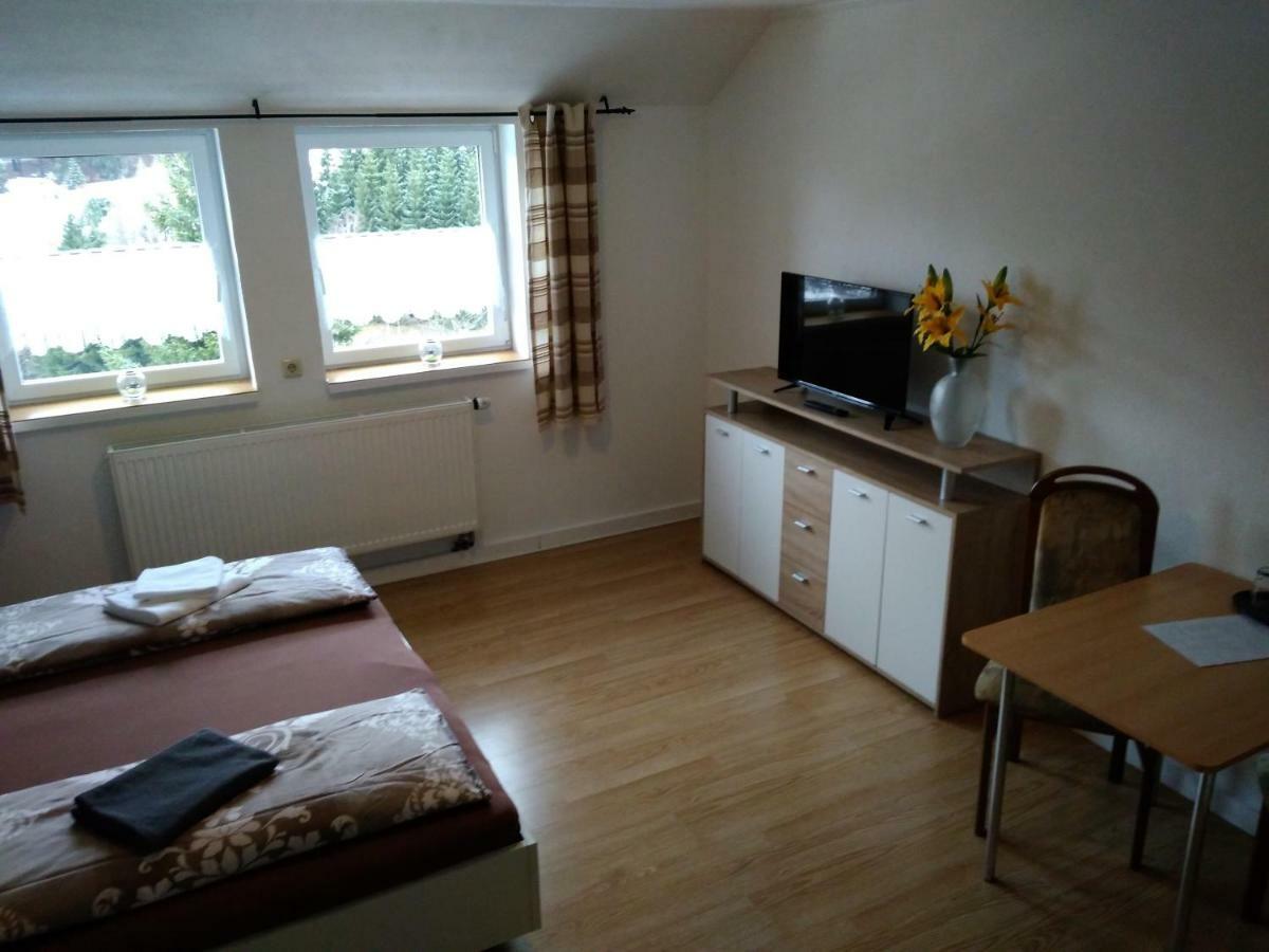 Greizer Kammhuette Gaststaette & Pension Клингенталь Экстерьер фото