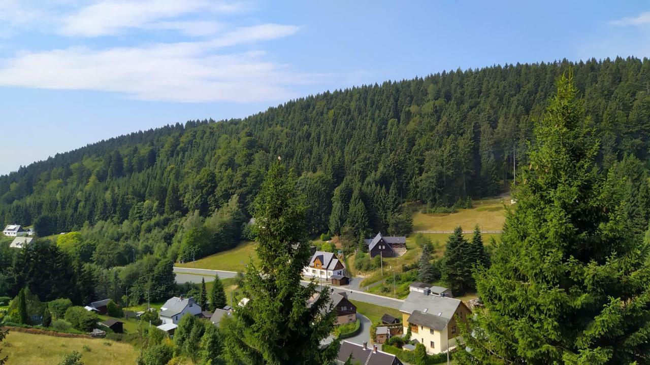 Greizer Kammhuette Gaststaette & Pension Клингенталь Экстерьер фото