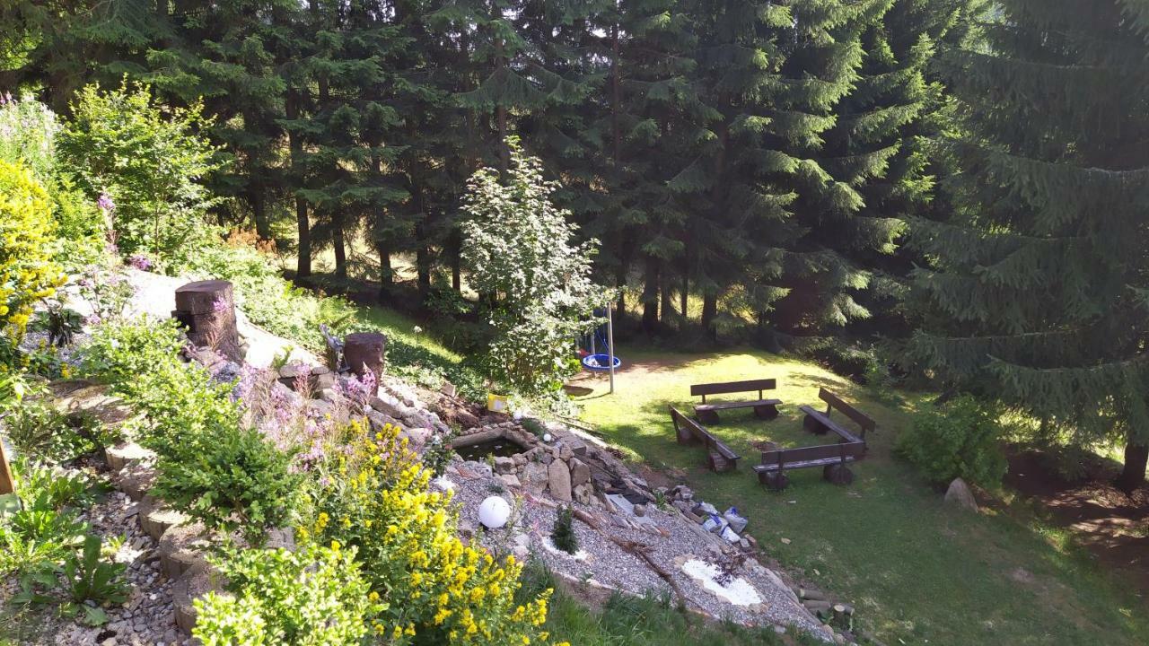 Greizer Kammhuette Gaststaette & Pension Клингенталь Экстерьер фото